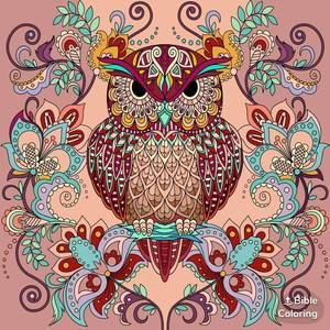 Meet your Posher, Doris